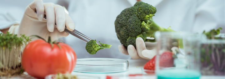 Bromatología: la ciencia que garantiza la seguridad y calidad de tus alimentos