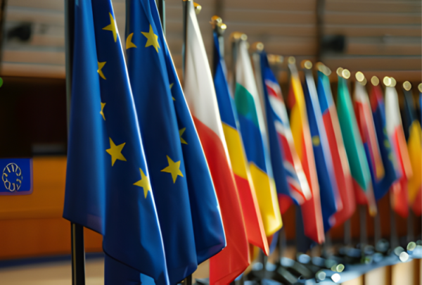 Bachelor en Relaciones Internacionales