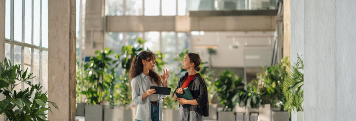 Roles y responsabilidades de un diseñador de productos